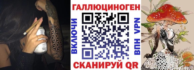 Псилоцибиновые грибы Psilocybe  Донской 